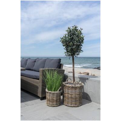 Gili-manden - Kubu-rotan - set van 2