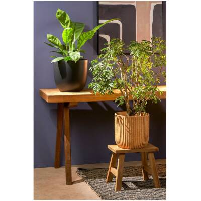 Bold Houten Krukje - L38xB29xH34 cm - Bruin