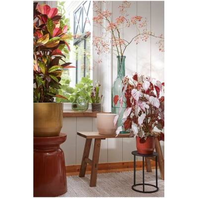 Bold Houten Bankje - L80xB37xH44 cm - Bruin