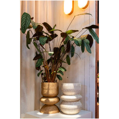 Plantenbak Dexter - beige - 51 cm hoog - Vips and Friends