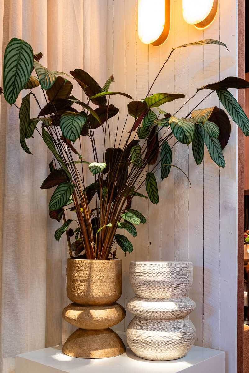 Plantenbak Dexter - beige - 51 cm hoog - Vips and Friends 4 Plantenbak Dexter - beige - 51 cm hoog - Vips and Friends