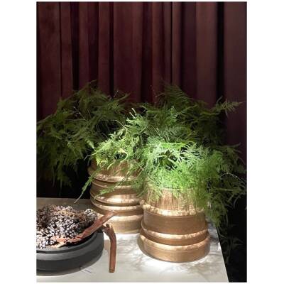 Plantenbak Preston - beige - 30 cm hoog - Vips and Friends