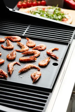 Stella 3201- Barbecook 8 Stella 3201- Barbecook