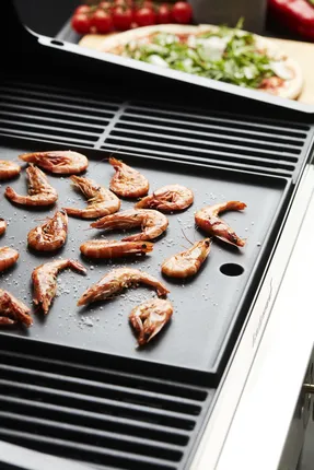 Stella 3201- Barbecook 9 Stella 3201- Barbecook