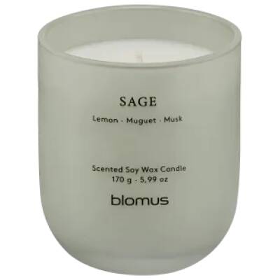 Geurkaars - TUOKSU - 35 branduren - Sage