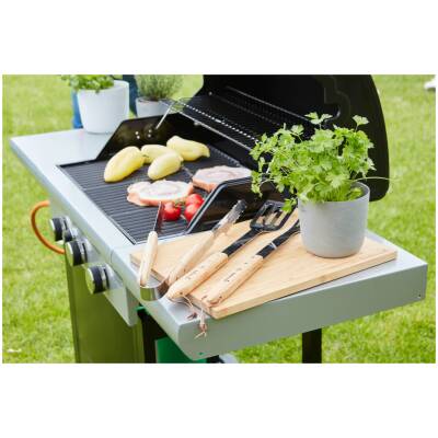 Spring 3112 - Barbecook
