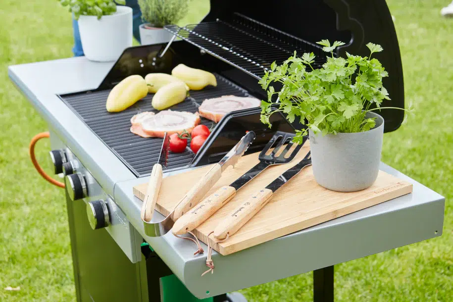 Spring 3112 - Barbecook