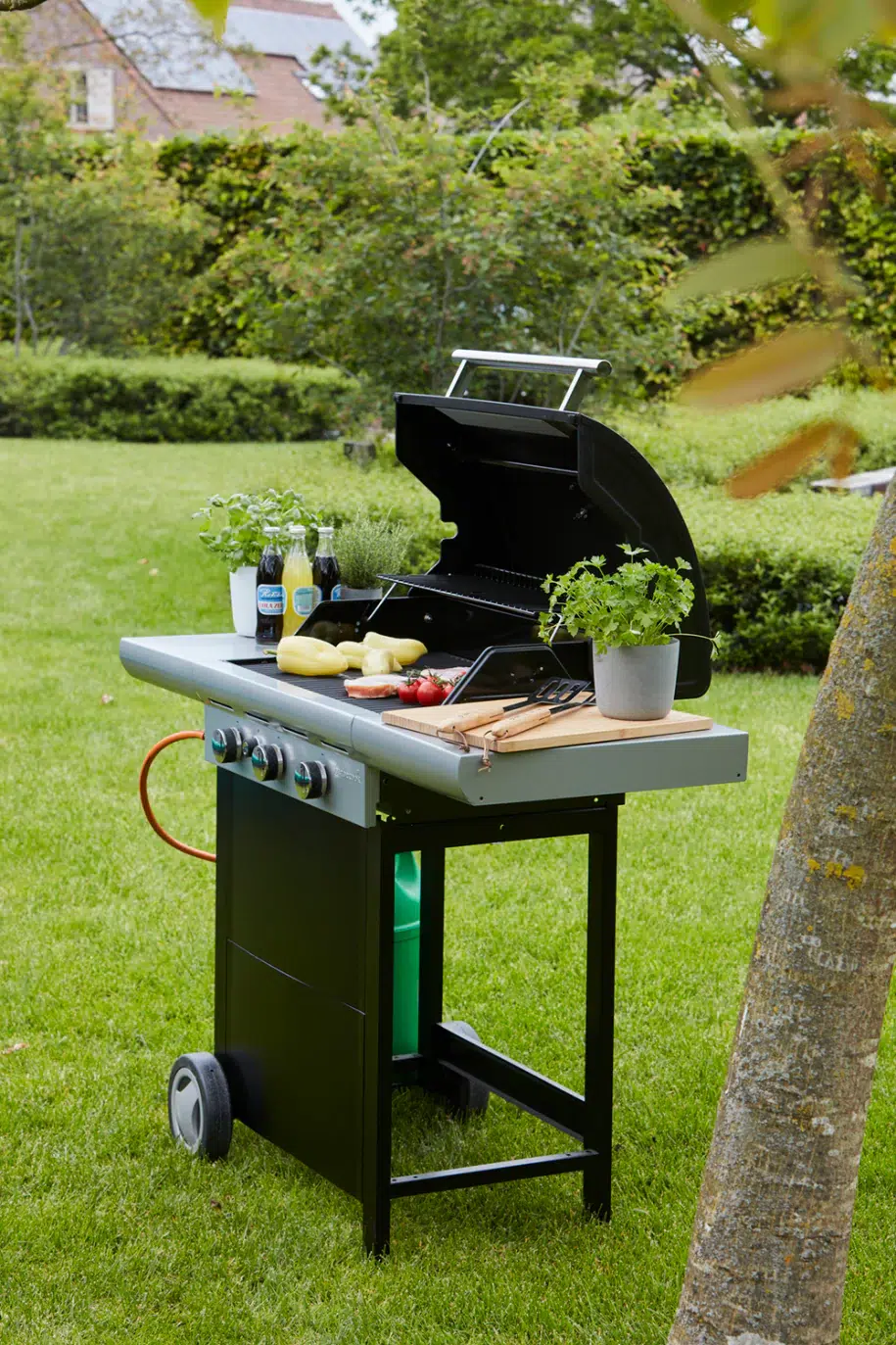 Spring 3002 - Barbecook 2 Spring 3002 - Barbecook