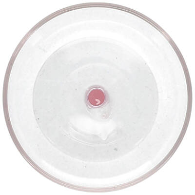 ONA Champagneglas 20cl coupe roze Fizz - Set van 2 - detailfoto 2 | ONA