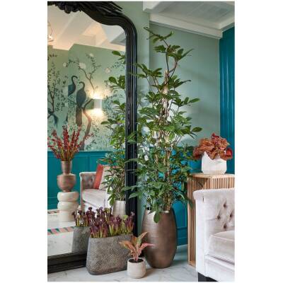 Yonker plantentafels bruin - set van 2 - Mica Decorations