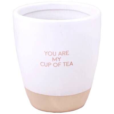 My Flame - Sojakaars in Theekop - You are my cup of tea - 60 uur