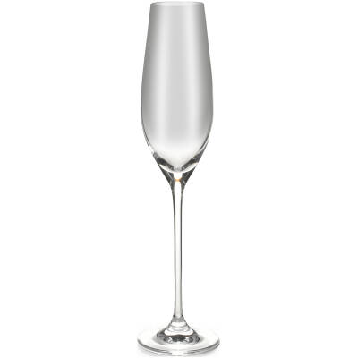 Salt & Pepper - Champagneglas 21cl - set/6